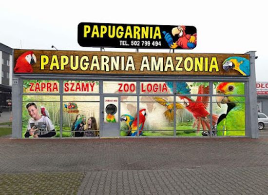 poland/tarnow/attraction/papugarnia-amazonia-tarnow