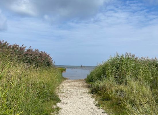 estonia/harju-county/attraction/randvere-kivi