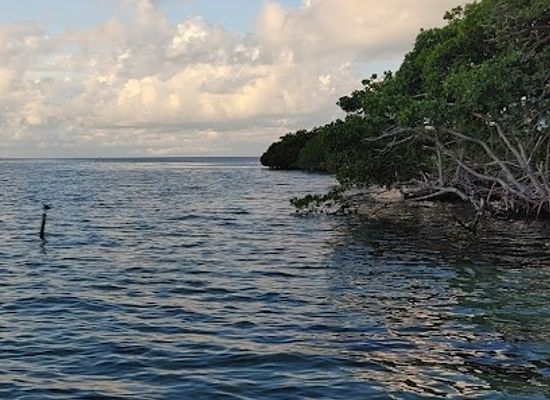 belize/the-cayes/attraction/mandy-s-cay