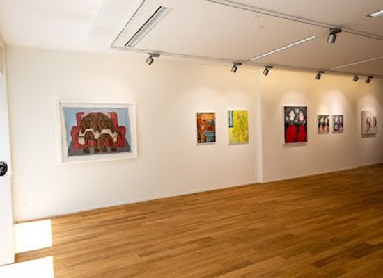 switzerland/zug/attraction/thomson-gallery