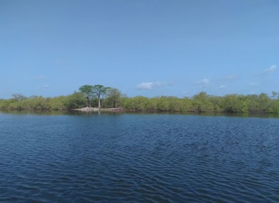 senegal/louga/attraction/faidherbe-bridge