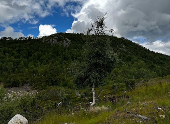 norway/rauland/attraction/rauland