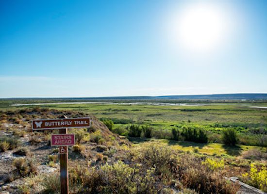 new-mexico/roswell/attraction/bitter-lake-national-wildlife-refuge