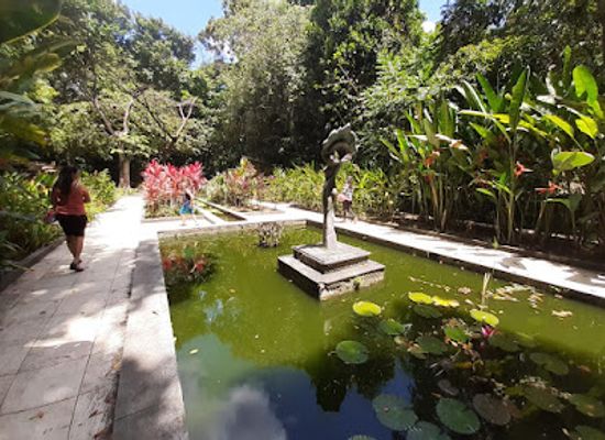 brazil/recife/attraction/botanical-garden-of-recife