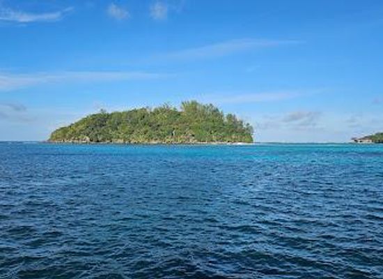 seychelles/anse-boudin/attraction/ile-moyenne