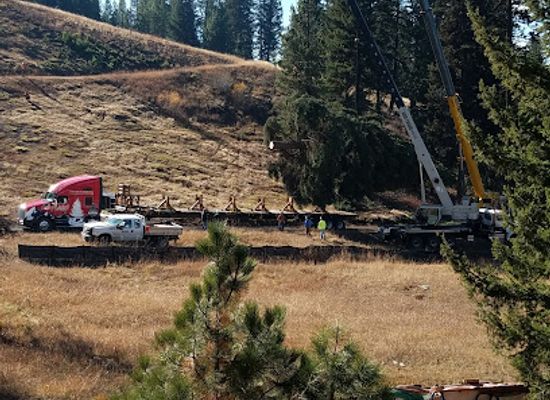 idaho/salmon-river/attraction/little-ski-hill-payette-lakes-ski-club