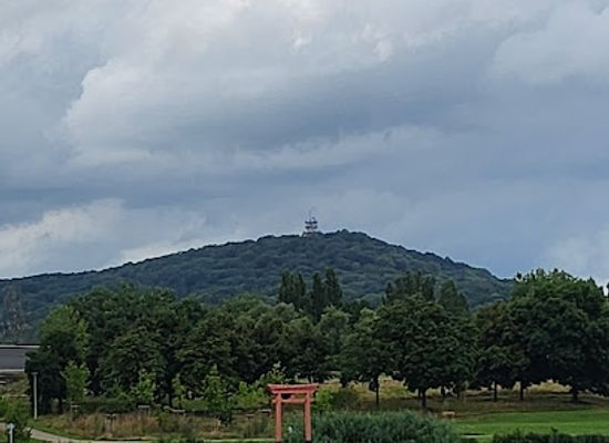 france/lorraine/attraction/torii-japonais