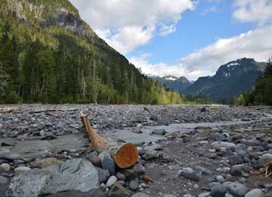 washington/mount-rainier-national-park/attraction/chenuis-falls-trailhead-exhibit-panel