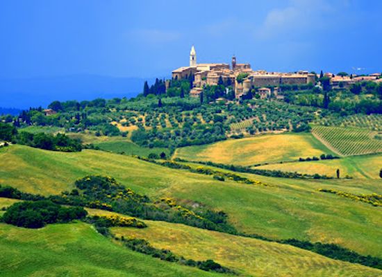 italy/montepulciano/attraction/cipressi-di-monticchiello