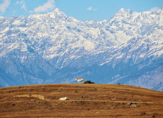 india/uttarakhand/attraction/benital