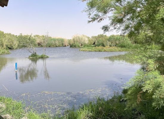 jordan/balqa-highlands/attraction/shaumari-wildlife-reserve