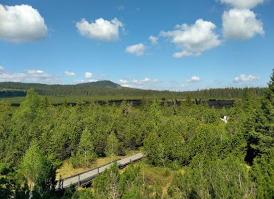 czechia/sumava-national-park/attraction/jezerni-slat