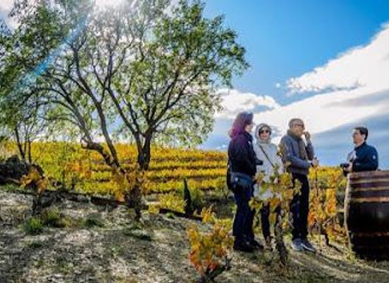 spain/catalonia/attraction/devinssi-winery