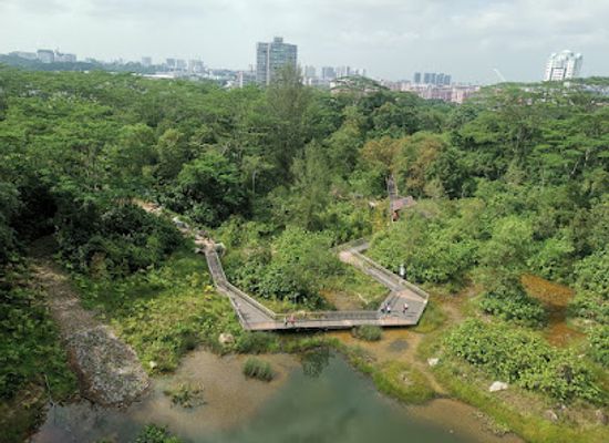 singapore/serangoon/attraction/dairy-farm-nature-park