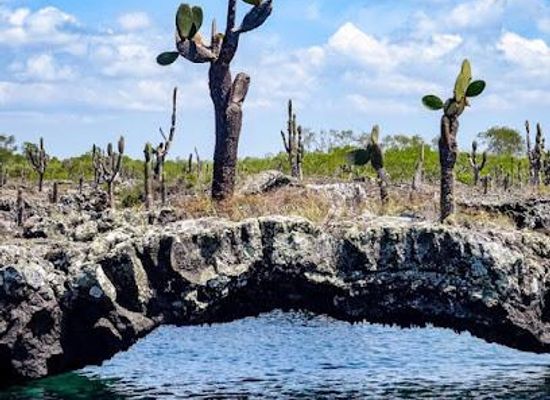 ecuador/galapagos-islands/attraction/los-tuneles