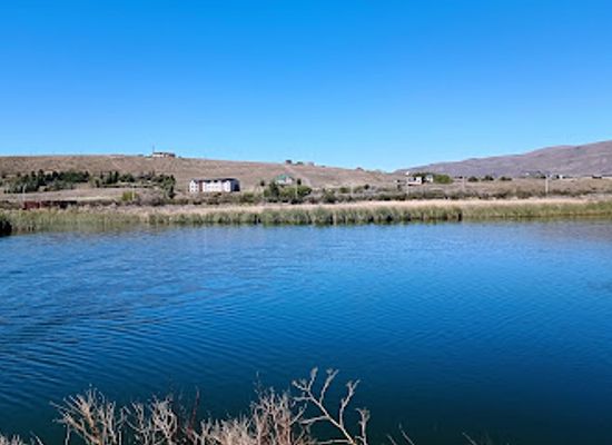argentina/patagonia/attraction/reserva-laguna-nimez