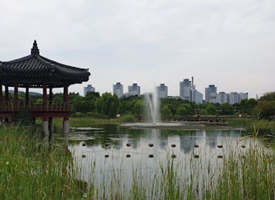 south-korea/daejeon/attraction/hanbat-arboretum