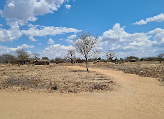 malawi/shire-valley/attraction/shire-eco-safari-camp