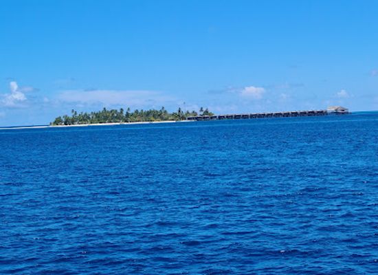 maldives/vaavu-atoll/attraction/sharkpoint