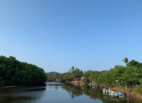 malaysia/kuantan/attraction/cherating-fireflies-sanctuary