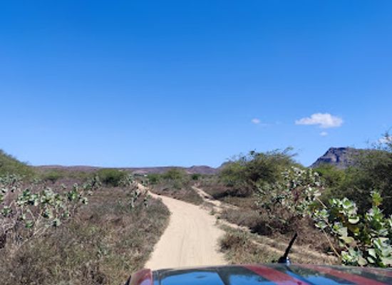 cabo-verde/praia-de-chaves/attraction/sidy-tours