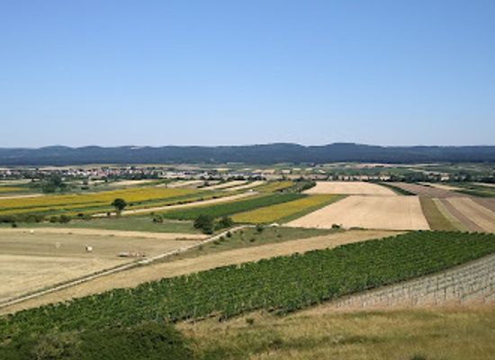 austria/neusiedler-see/attraction/holzlstein