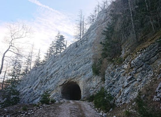 austria/upper-austria/attraction/bundes-forste-tunnel
