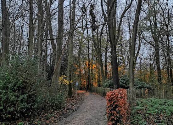 belgium/west-flanders/attraction/provincial-domain-wallemote-wolvenhof