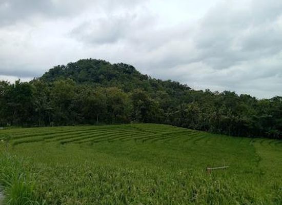 indonesia/java/attraction/gunung-mujil