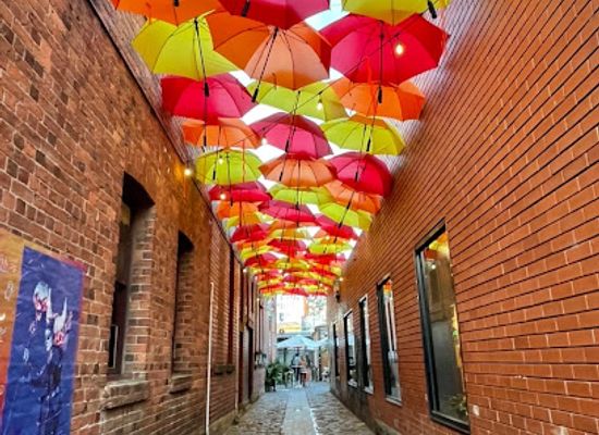 australia/central-victoria/attraction/ballarat-umbrella-laneway