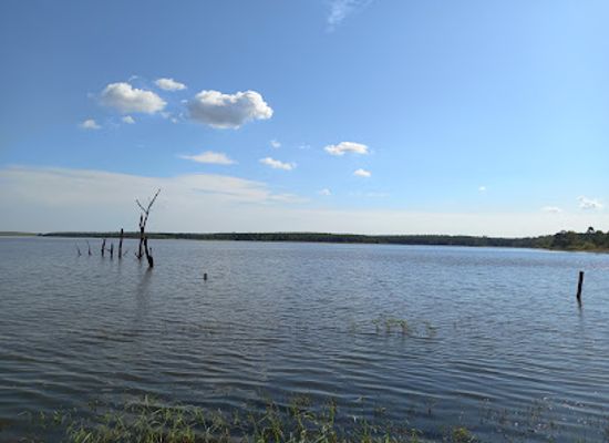 uruguay/soriano/attraction/bartolome-hidalgo-park