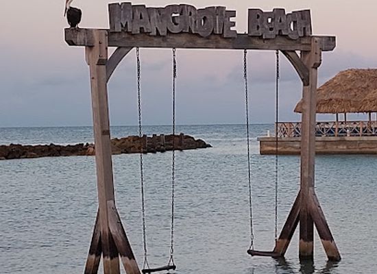 curacao/tera-kora/attraction/mangrove-beach-resort-swing