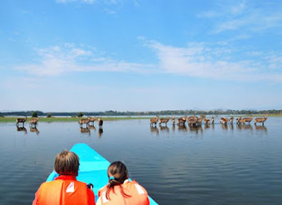 kenya/naivasha/attraction/lake-naivasha-achas-boat-safaris