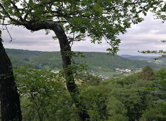 luxembourg/echternach/attraction/rundwanderweg-e1-labyrinth