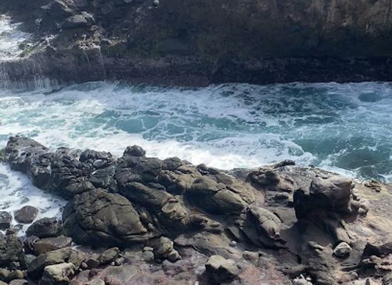 dominica/saint-david/attraction/centipede-trail
