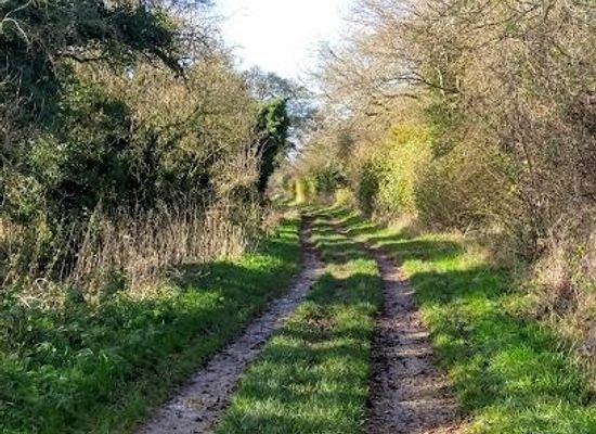 united-kingdom/berkshire/attraction/the-ridgeway