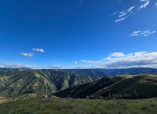 oregon/umatilla-county/attraction/zig-zag-springs-trailhead