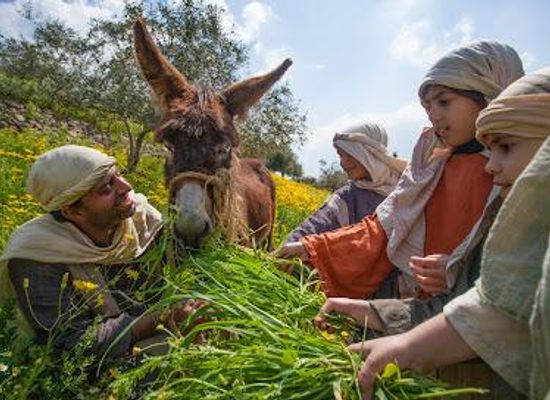 israel/nazareth/attraction/nazareth-village