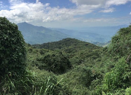 sri-lanka/kandy-district/attraction/riverston