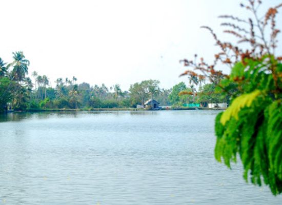 india/kochi/attraction/kuzhupilly-beach