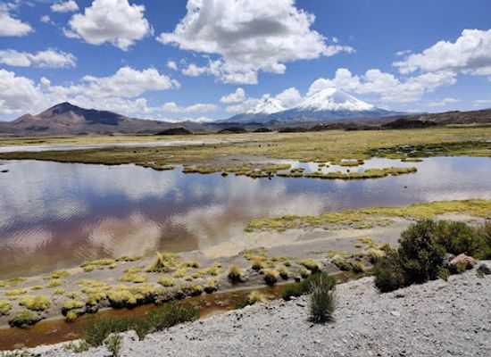 bolivia/altiplano/attraction/parque-nacional-lauca