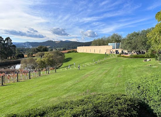 australia/yarra-valley/attraction/tarrawarra-museum-of-art