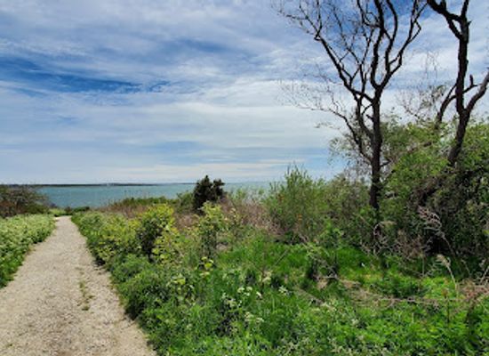 rhode-island/newport-county/attraction/pebble-beach