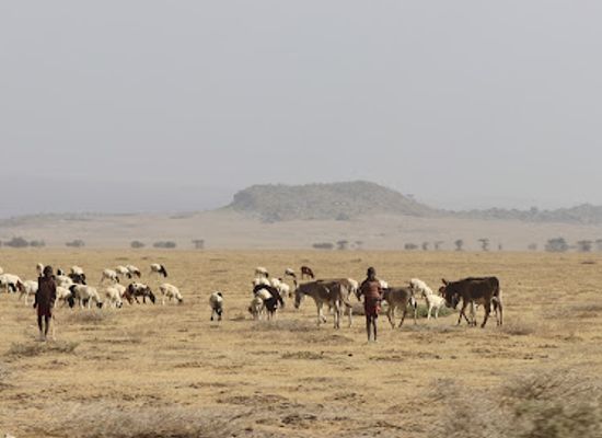 tanzania/ngorongoro-conservation-area/attraction/project-t-fountain