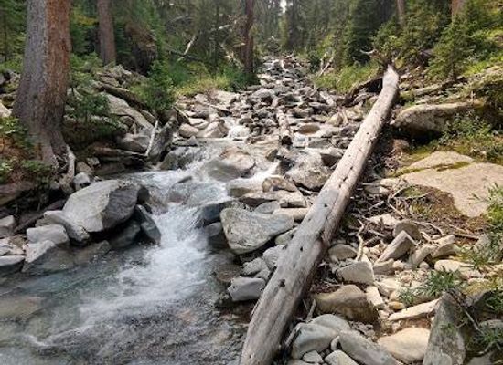 colorado/gunnison-valley/attraction/colorado-trail