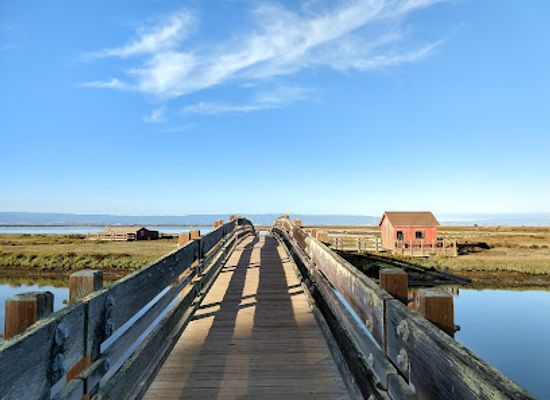 california/san-francisco-peninsula/attraction/don-edwards-san-francisco-bay-national-wildlife-refuge