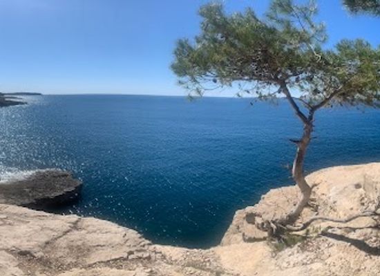 croatia/pula/attraction/musil-jump