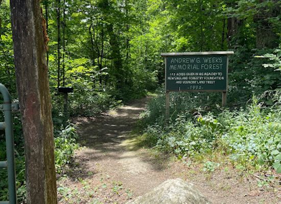 vermont/windham-county/attraction/weeks-memorial-forest