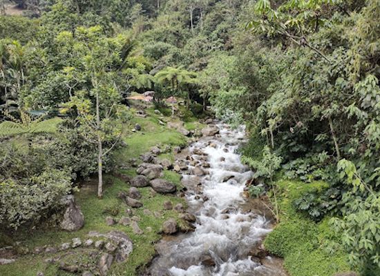 colombia/medellin/envigado/attraction/parque-ecologico-el-salado