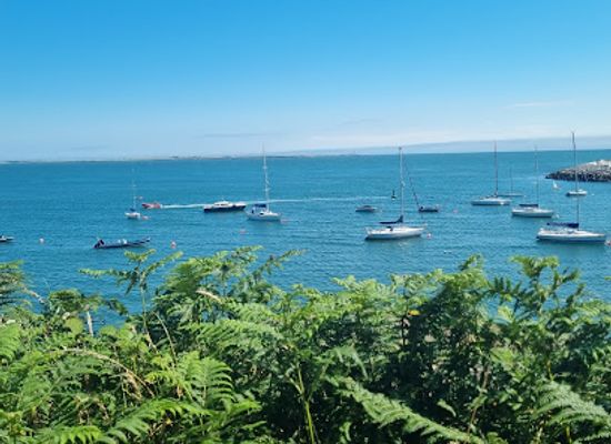 ireland/county-waterford/attraction/badger-s-cove